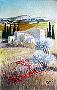 Paysage provencal